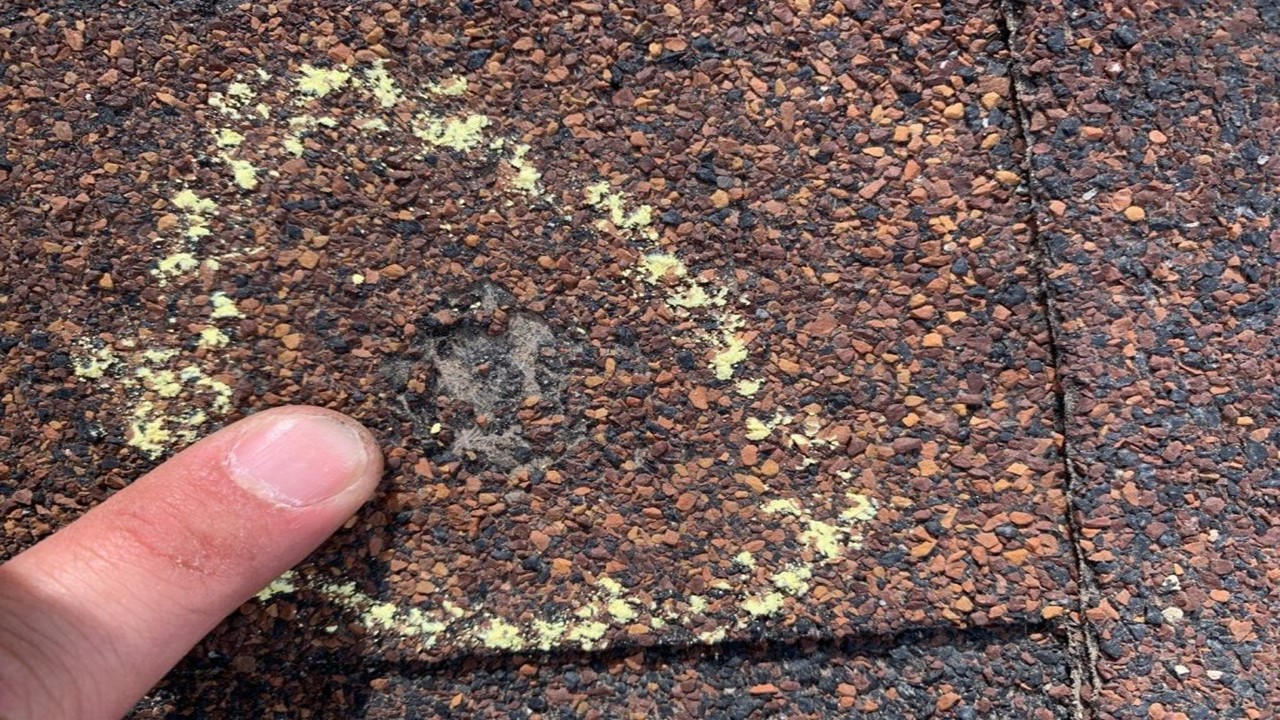 Hail Damage vs. Shingle Blistering Viking Contractors, LLC