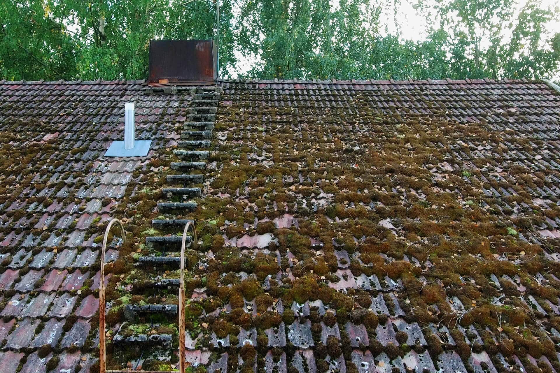 How Long Does a Roof Last Factors Affecting Your Roof's Lifespan