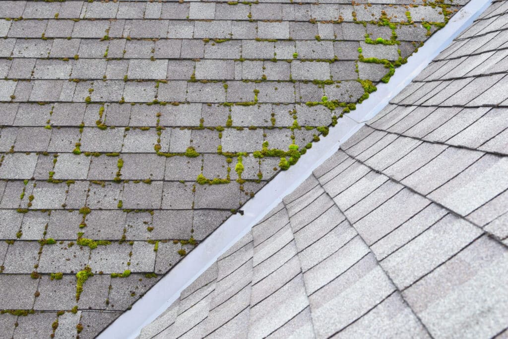 How to Clean Roof Shingles Viking Contractors, LLC